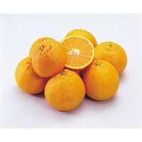 輸入オレンジのイメージ